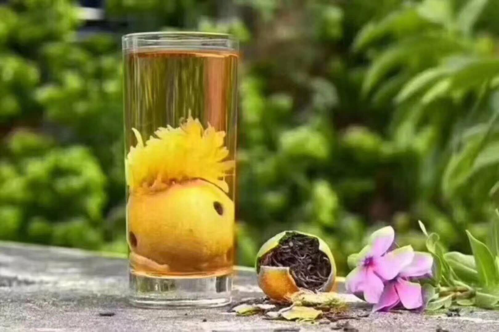 正宗柠檬菊花茶红茶清香型金丝皇菊滇红茶柠檬茶小檬菊茶500g